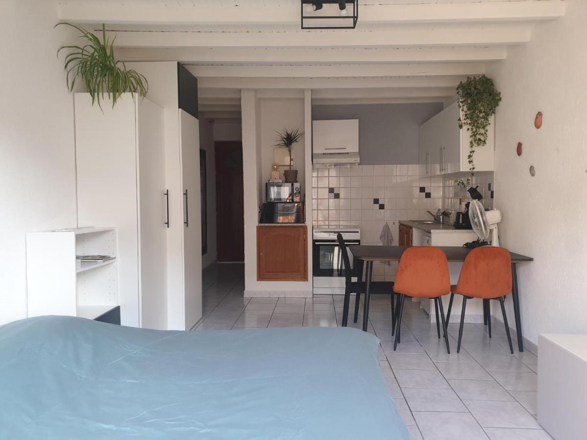 Studio Tout Confort Centre Ville - Balcon, Clim, Tv, Wifi Мазан Екстер'єр фото